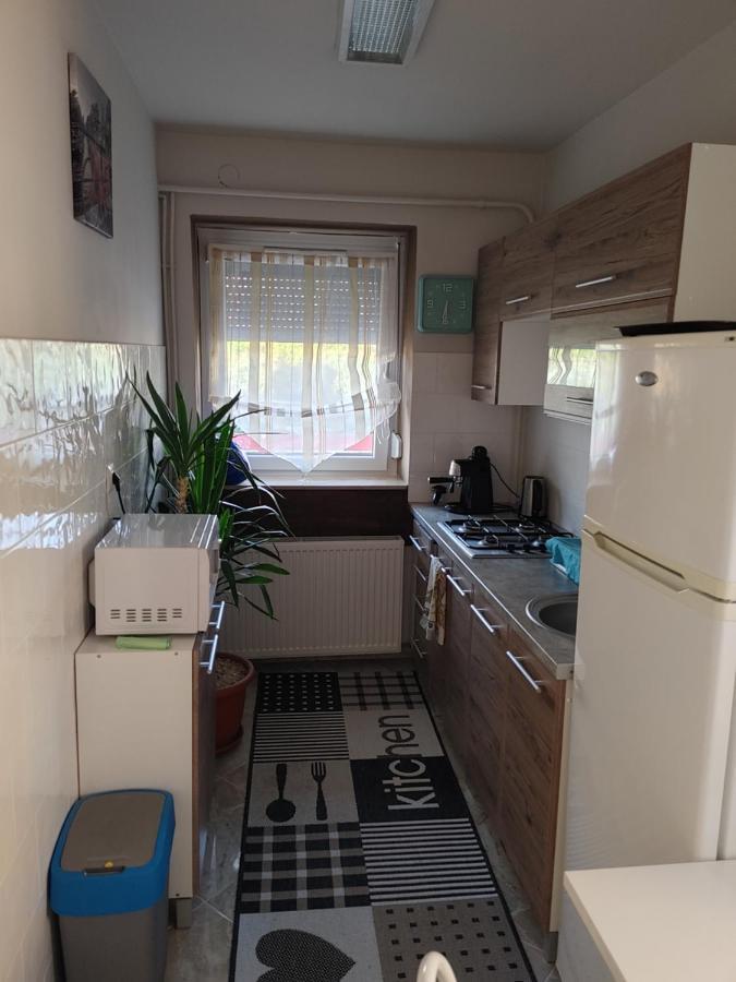 Fiesta Apartman 米什科尔茨 外观 照片